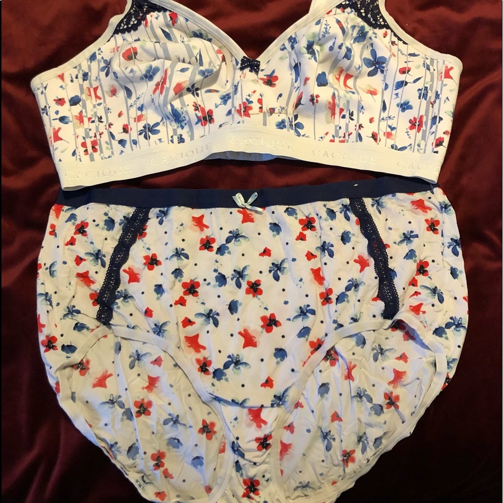 Lane Bryant Cacique Intimates size 42DD Bra & 22/24 brief super soft panties